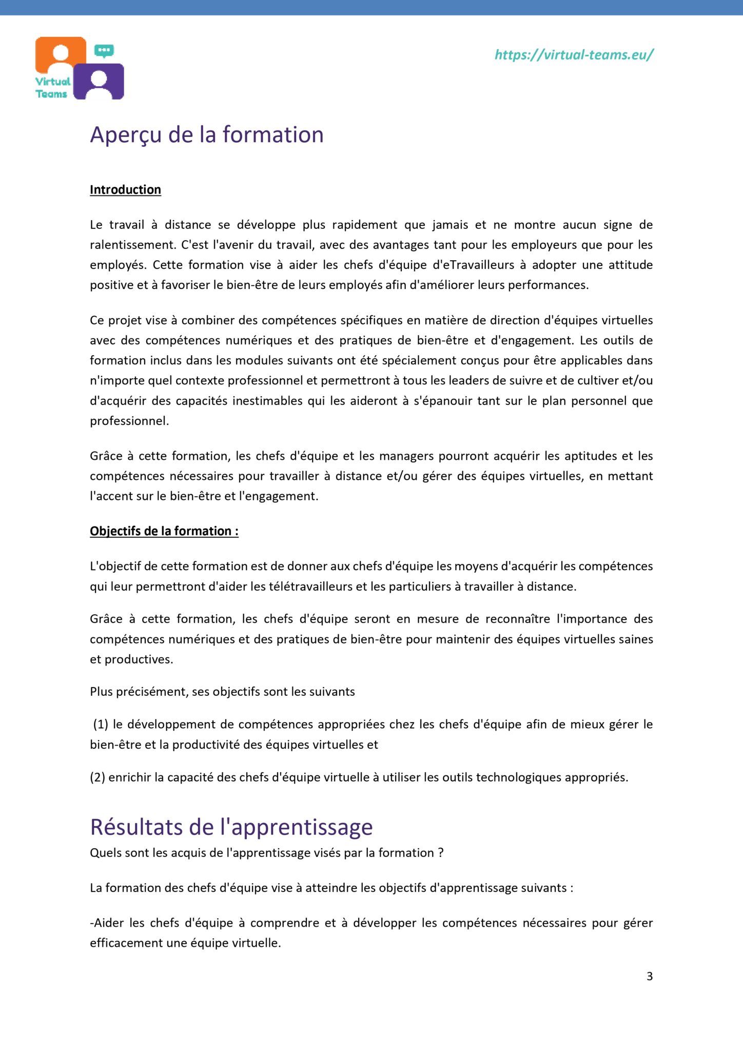 Virtual Team Leaders Training_module 1 fr_page-0003