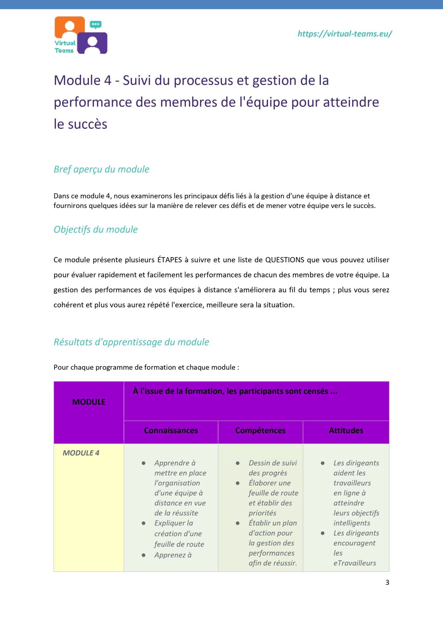 Virtual Team Leaders Training_module 4_EN fr_page-0003