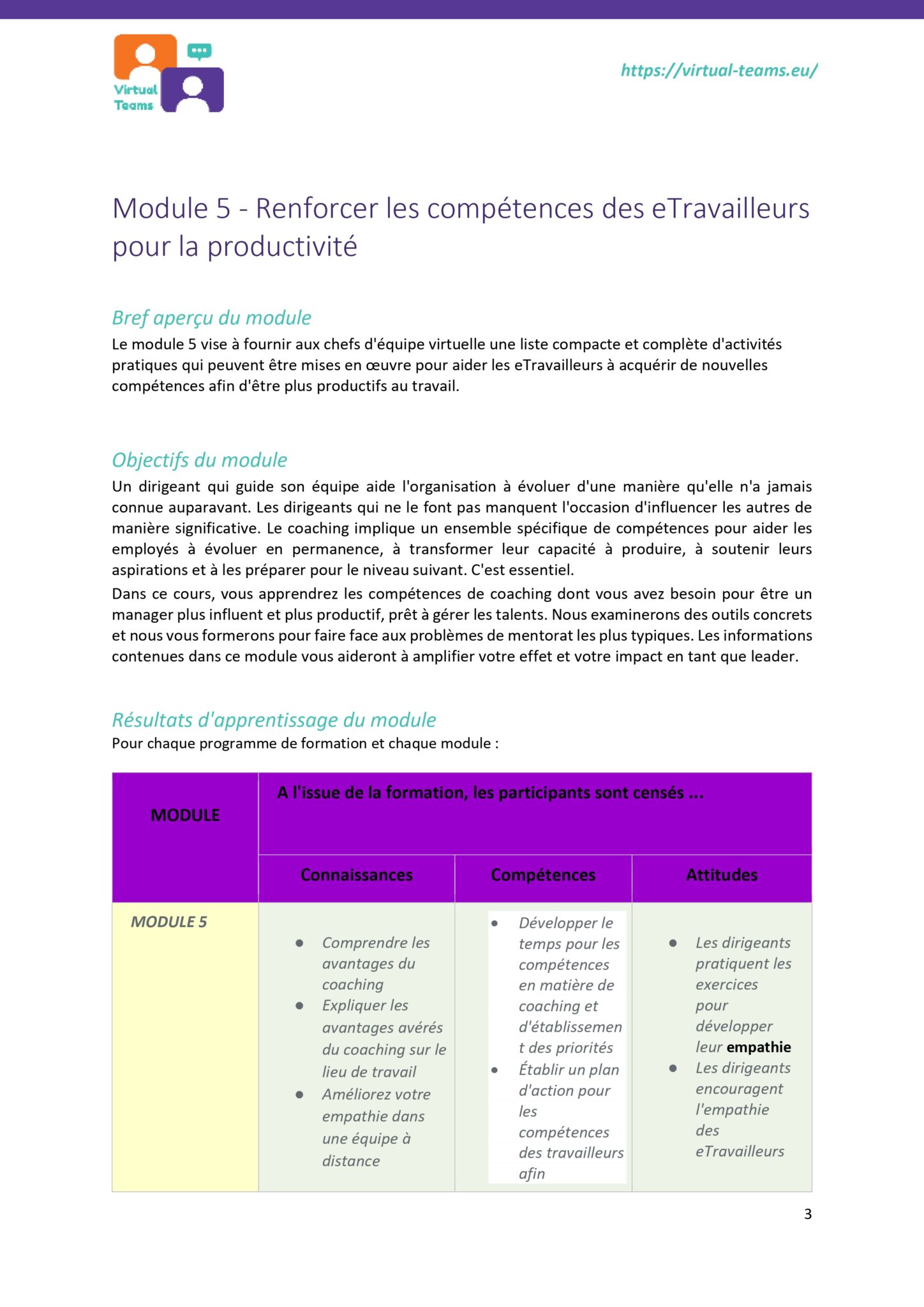 Virtual Team Leaders Training_module 5_EN fr_page-0003