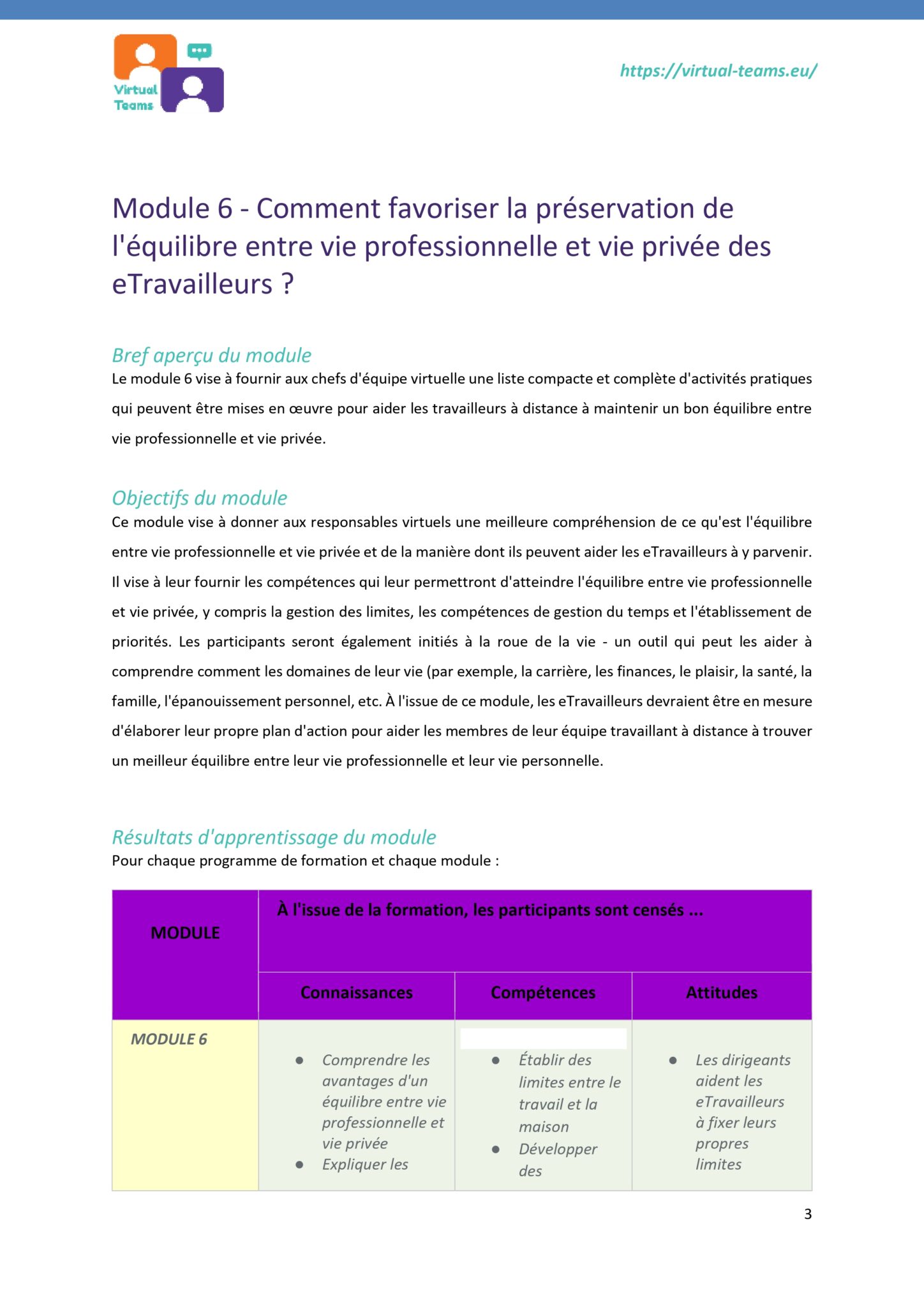 Virtual Team Leaders Training_module 6_EN fr_page-0003