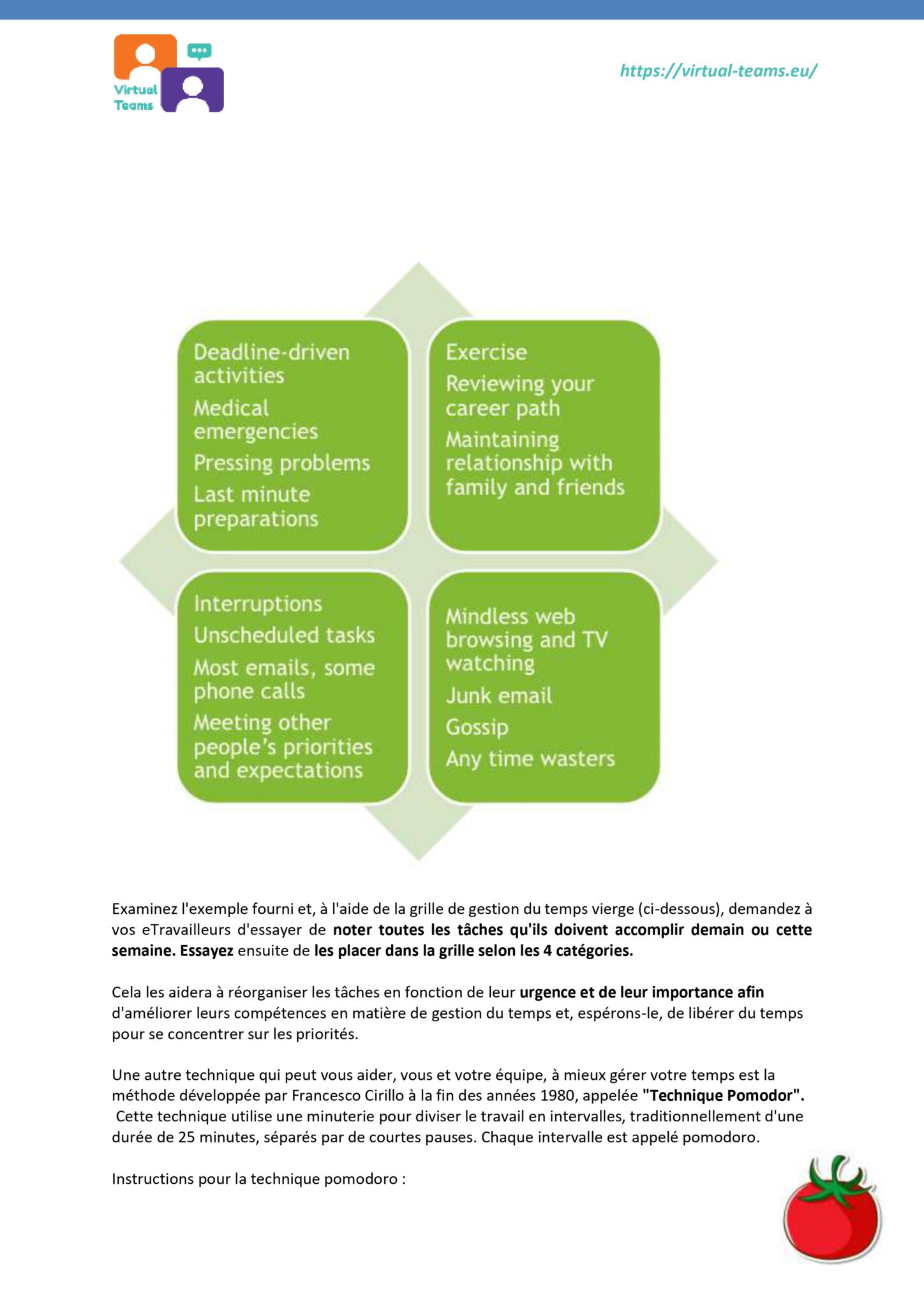 Virtual Team Leaders Training_module 6_EN fr_page-0009