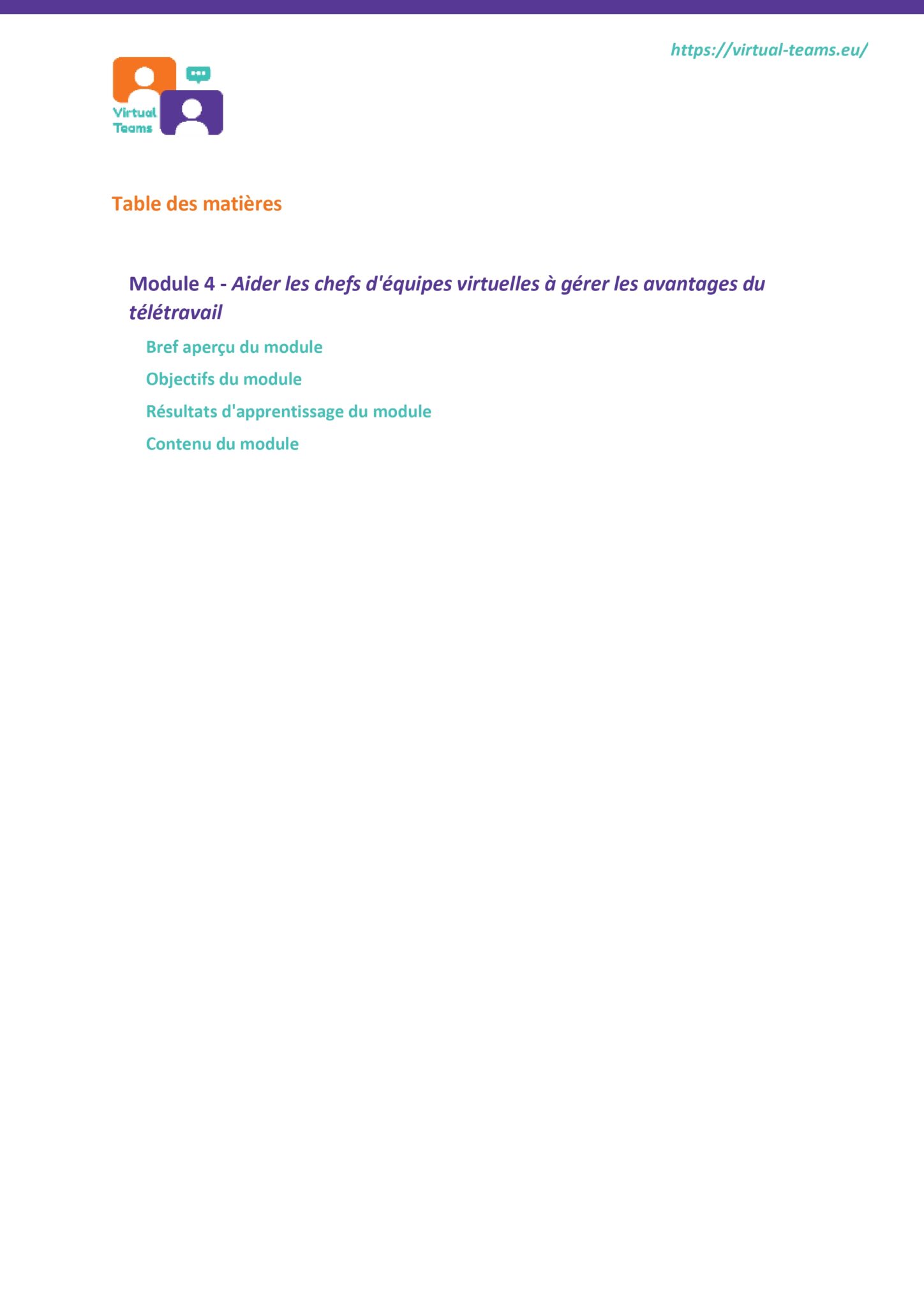 VirtualTeams_IO2_HR professionals_ Module 4 fr_page-0002