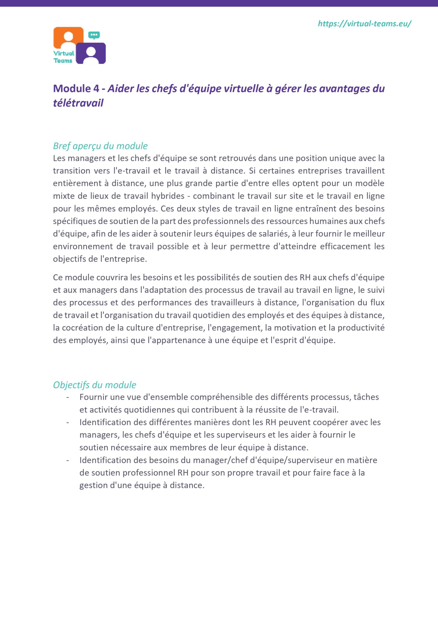 VirtualTeams_IO2_HR professionals_ Module 4 fr_page-0003