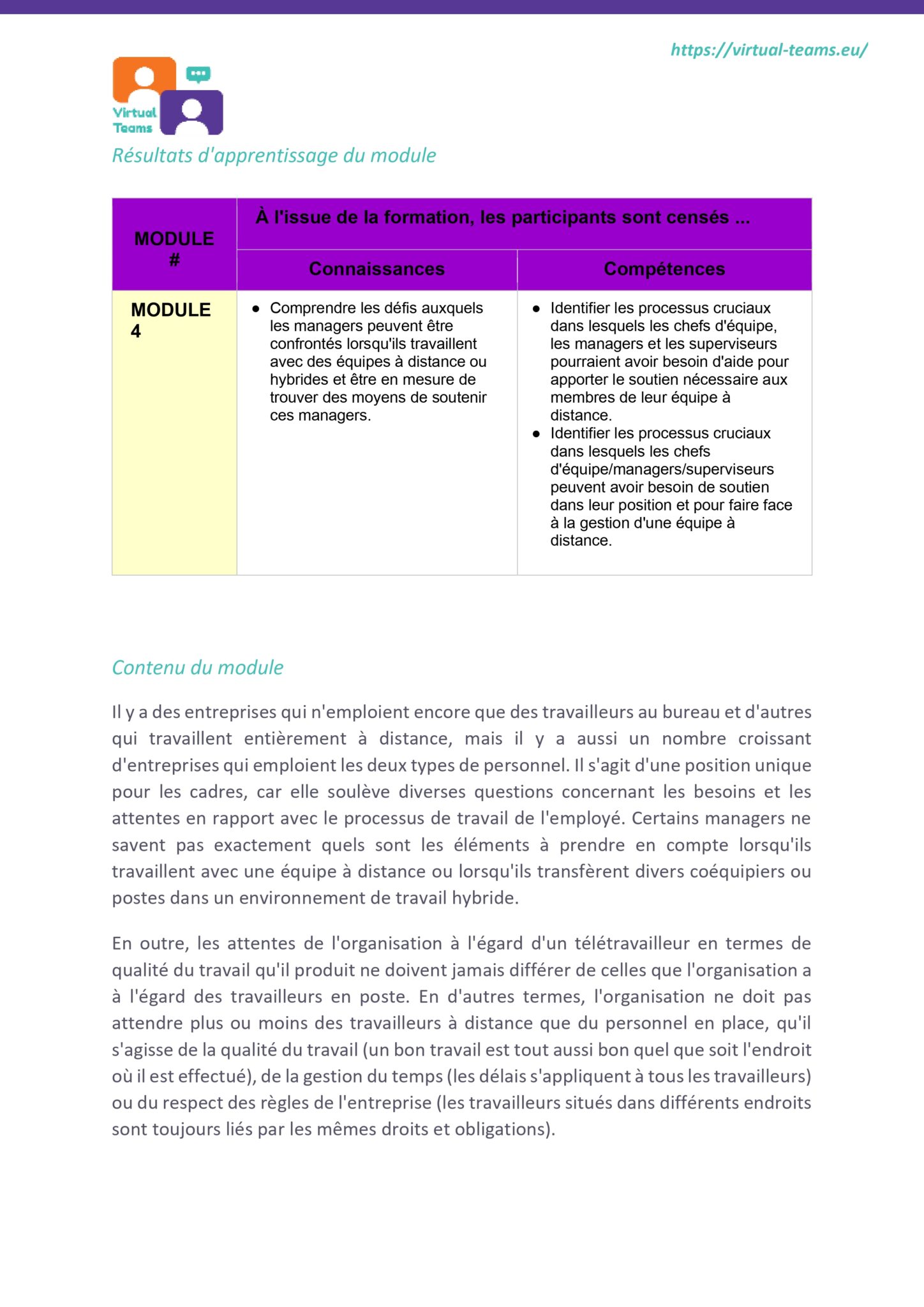 VirtualTeams_IO2_HR professionals_ Module 4 fr_page-0004
