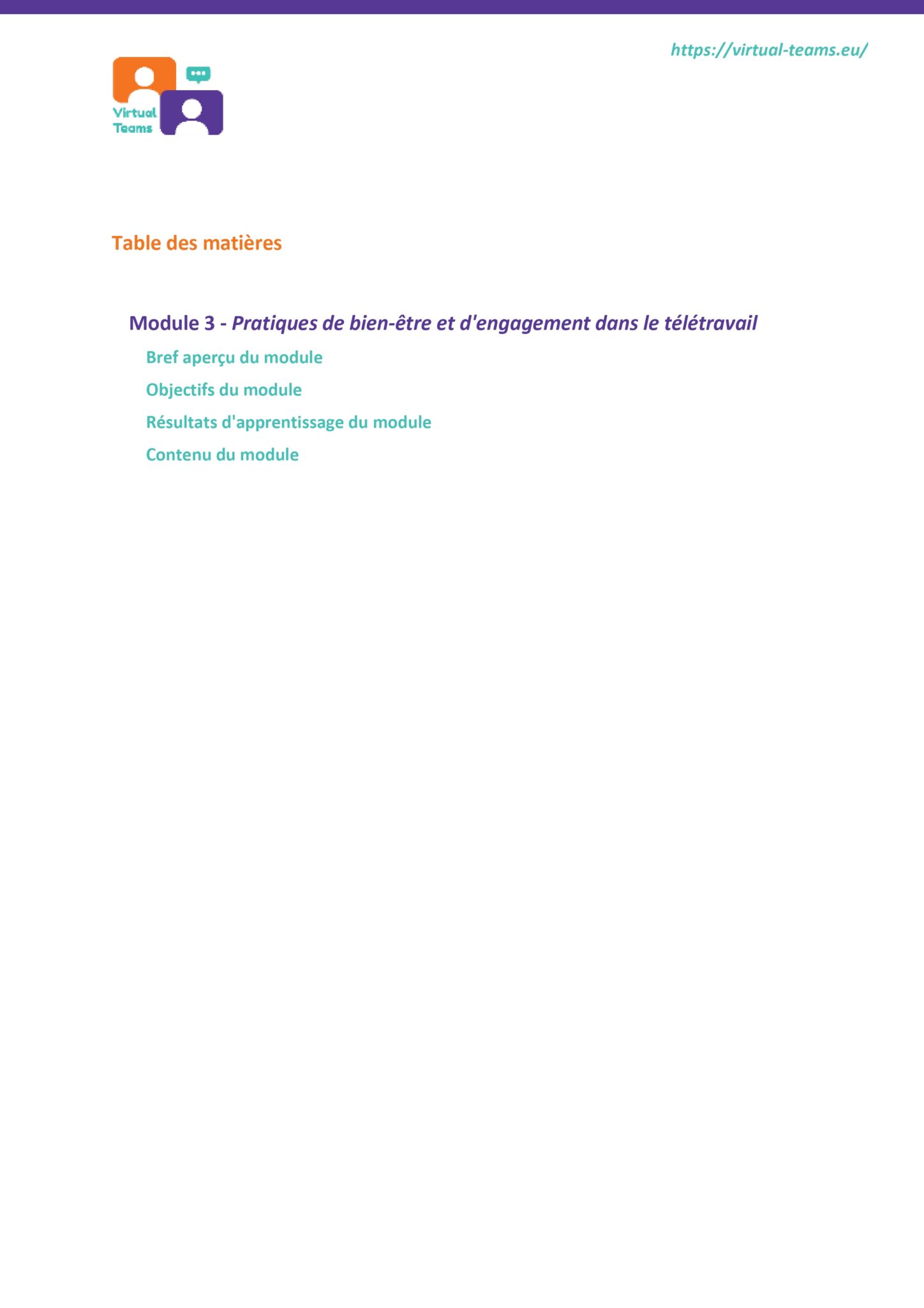 VirtualTeams_IO2_HR professionals_Module 3 fr_page-0002