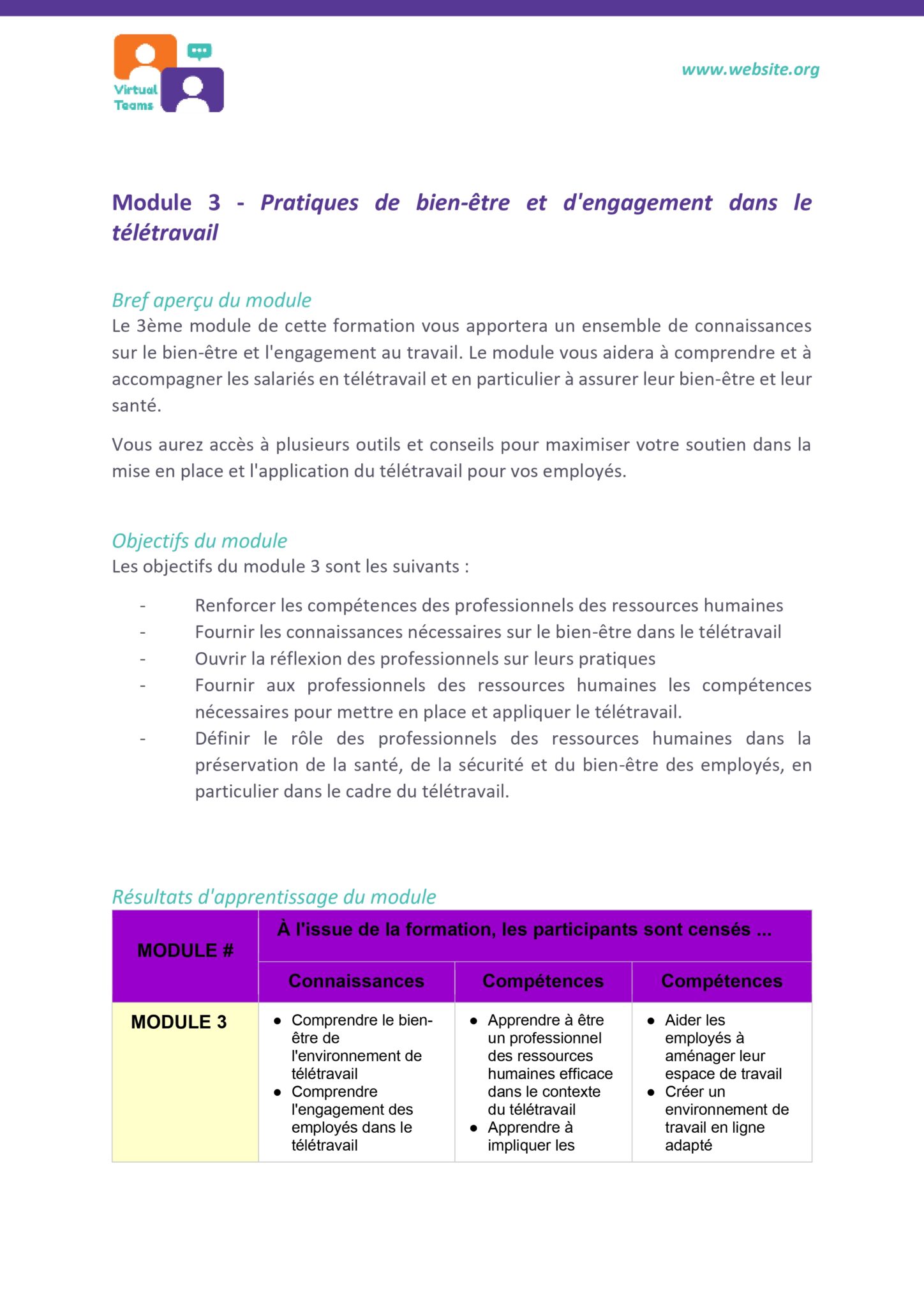 VirtualTeams_IO2_HR professionals_Module 3 fr_page-0003