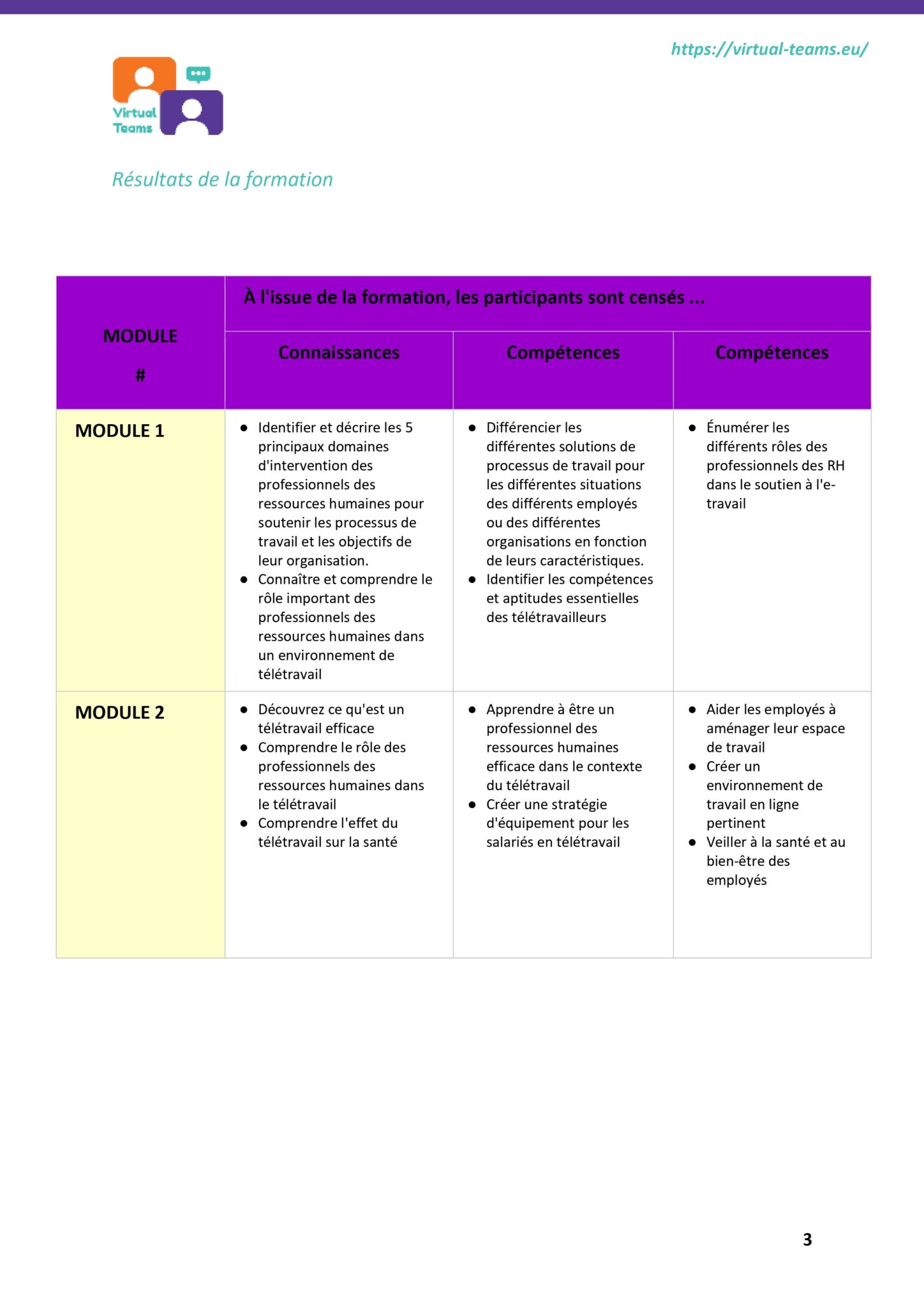 VirtualTeams_IO2_HR professionals_module 1 fr_page-0004