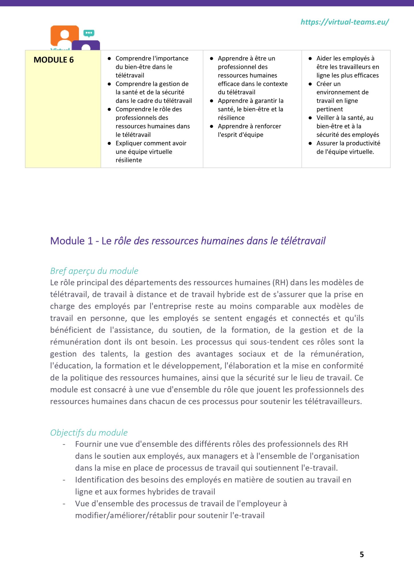 VirtualTeams_IO2_HR professionals_module 1 fr_page-0006