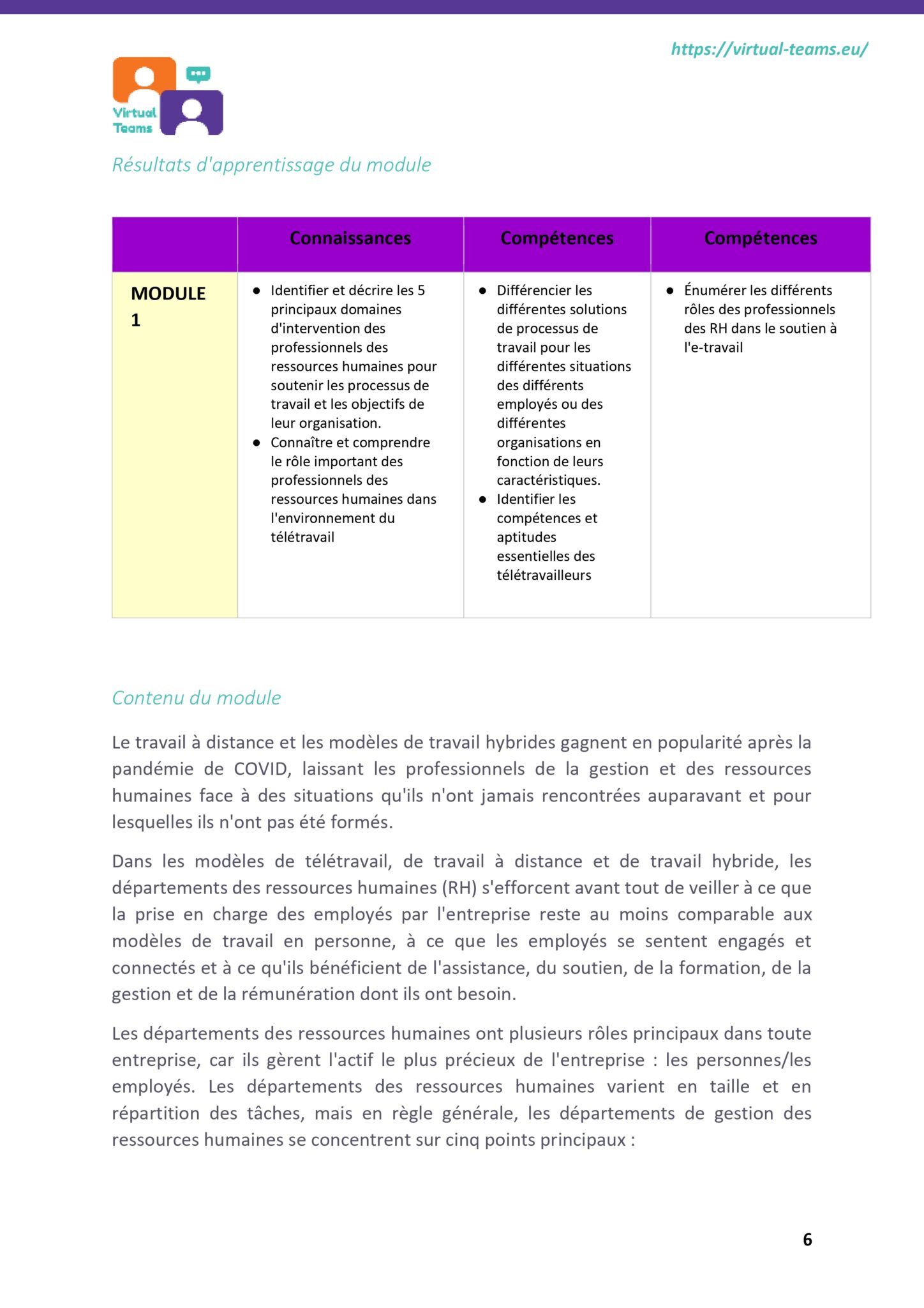 VirtualTeams_IO2_HR professionals_module 1 fr_page-0007