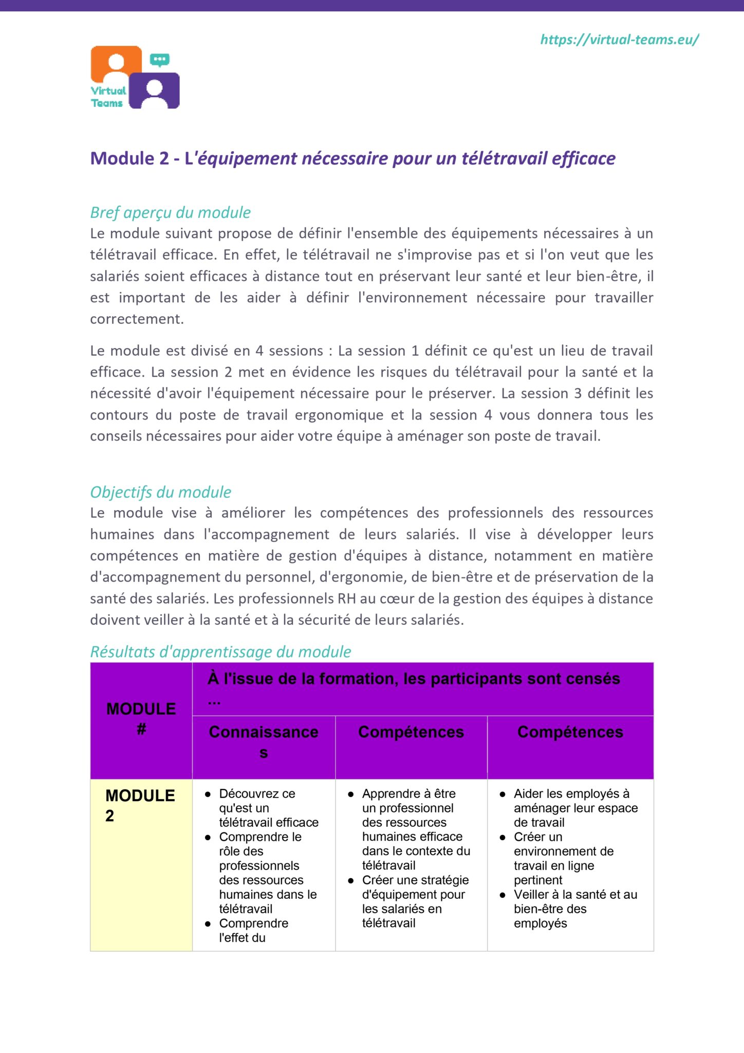 VirtualTeams_IO2_HR professionals_module 2 fr_page-0003