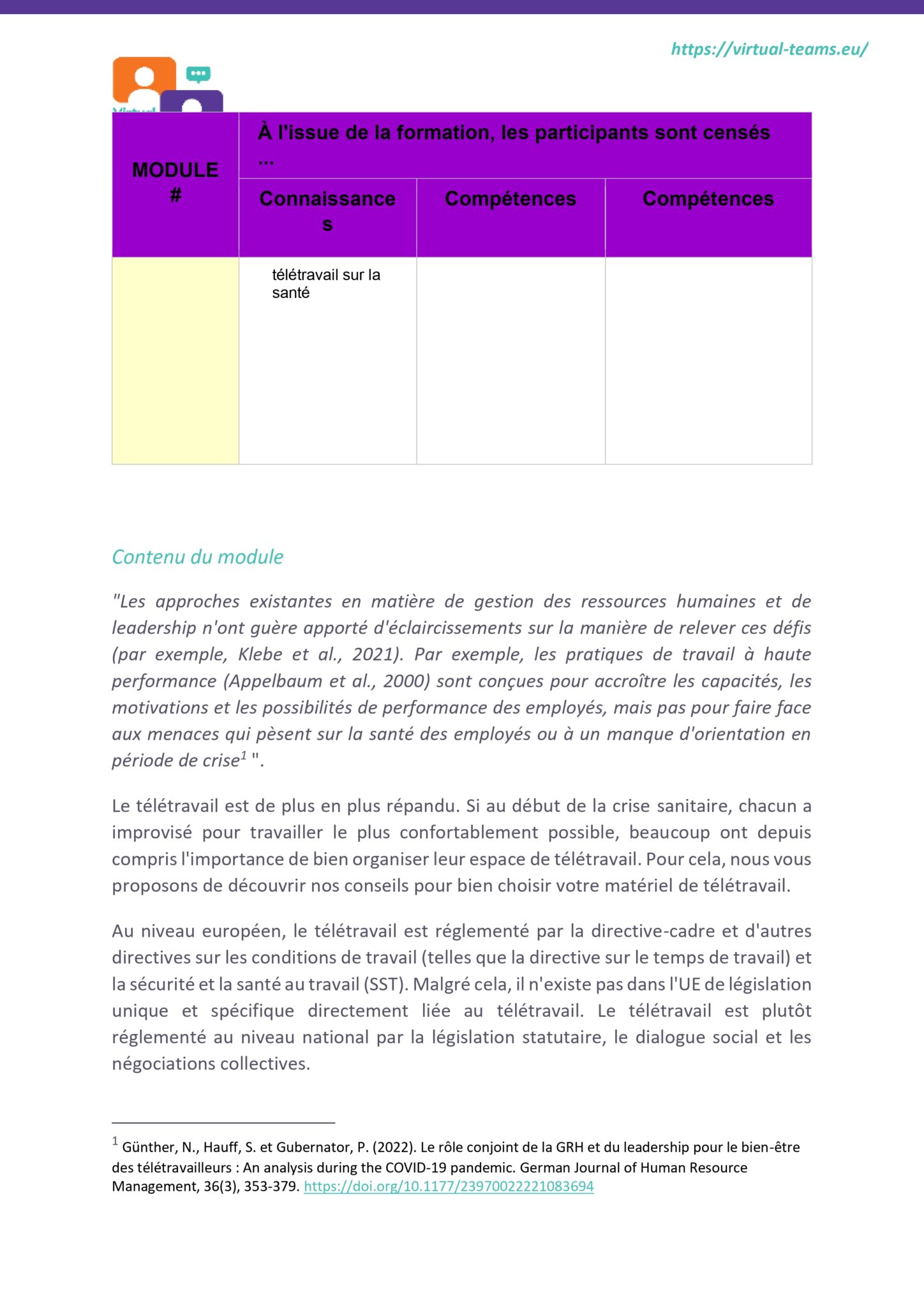 VirtualTeams_IO2_HR professionals_module 2 fr_page-0004