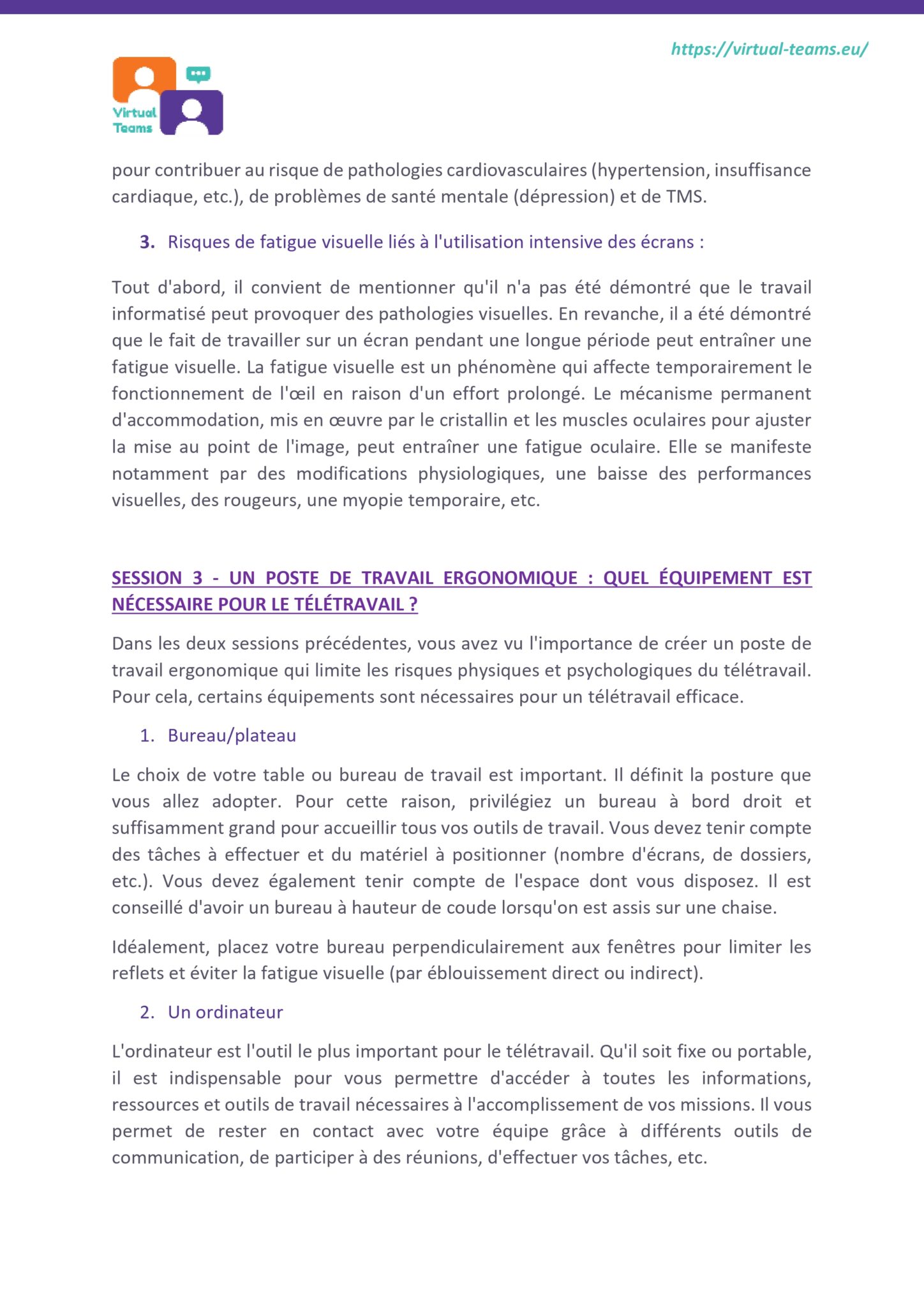VirtualTeams_IO2_HR professionals_module 2 fr_page-0011