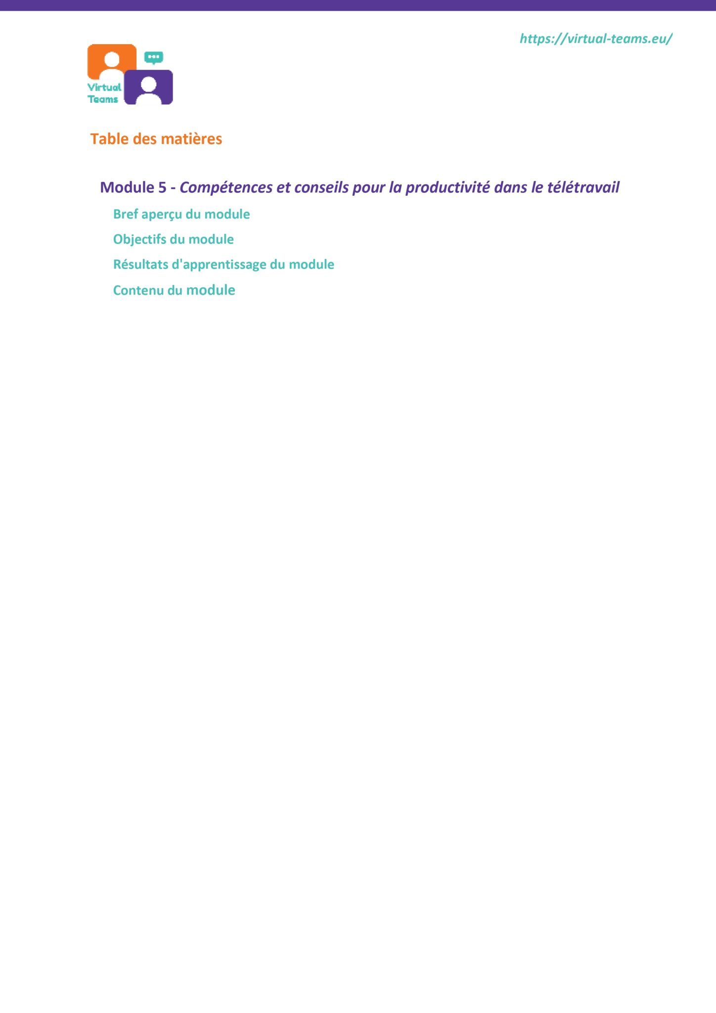 VirtualTeams_IO2_HR professionals_module 5 fr_page-0002