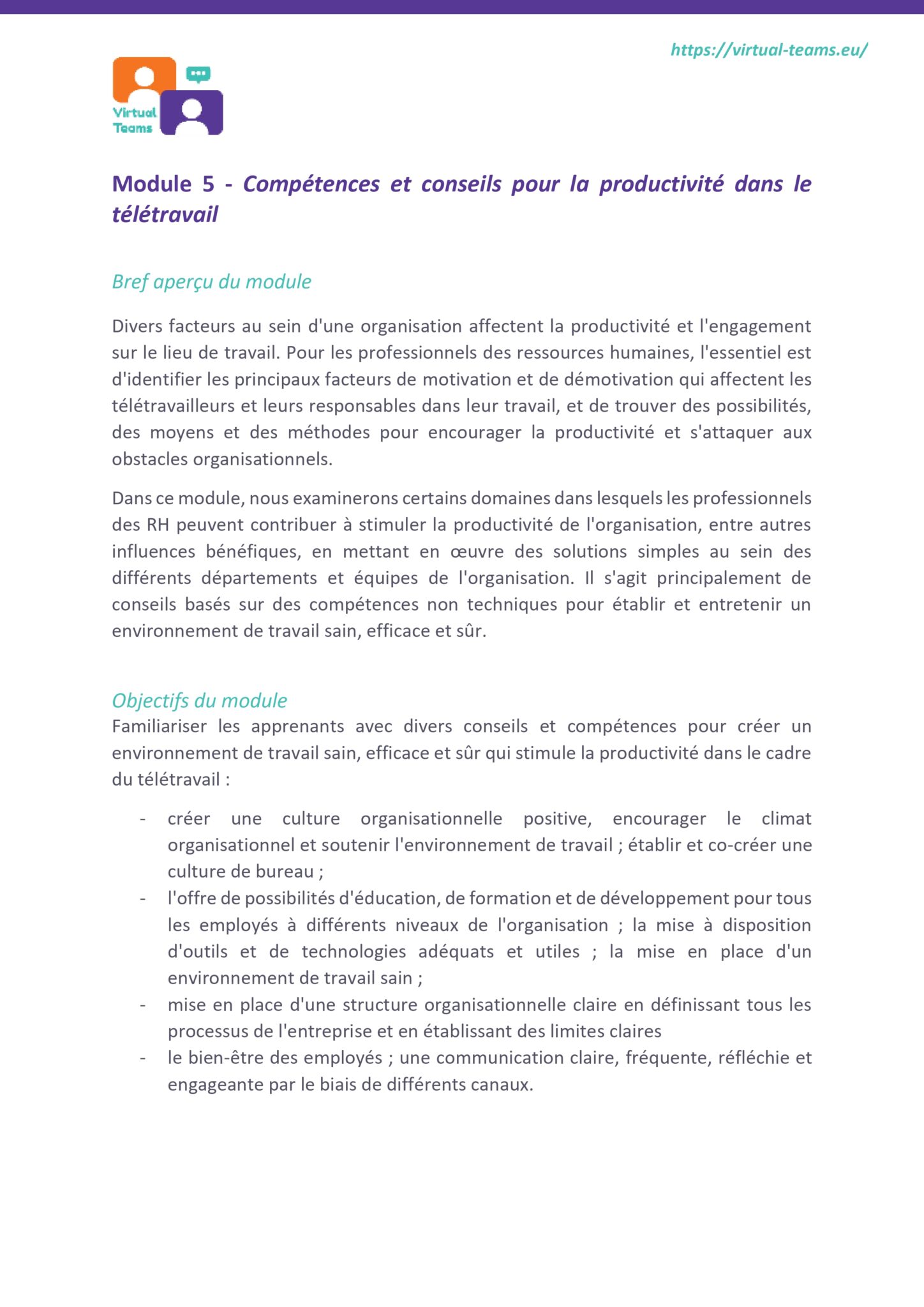 VirtualTeams_IO2_HR professionals_module 5 fr_page-0003