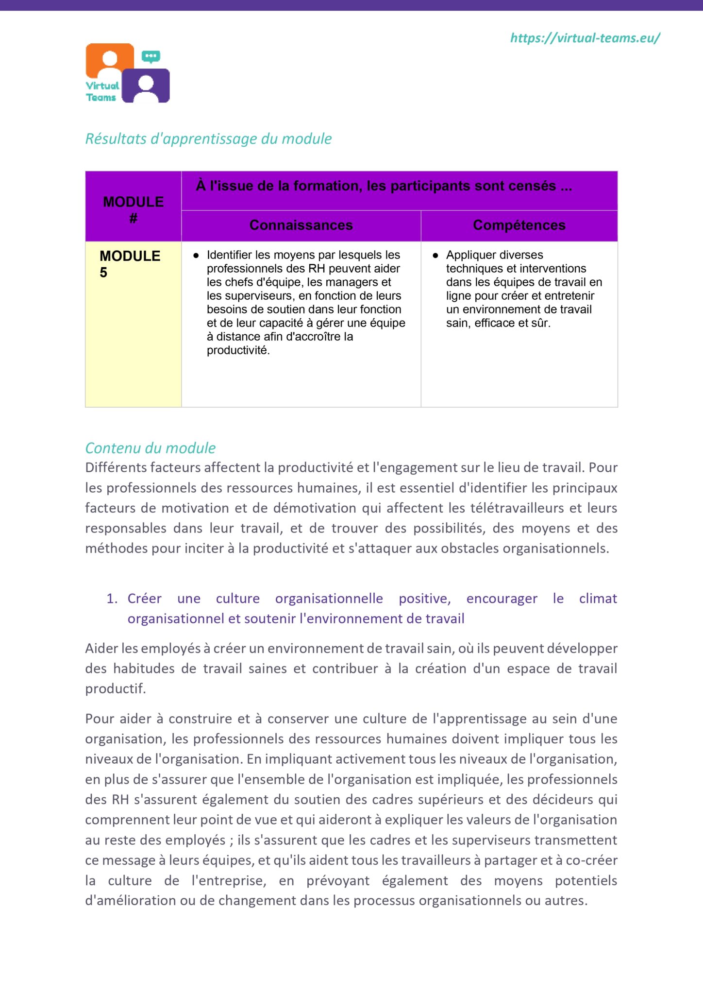 VirtualTeams_IO2_HR professionals_module 5 fr_page-0004
