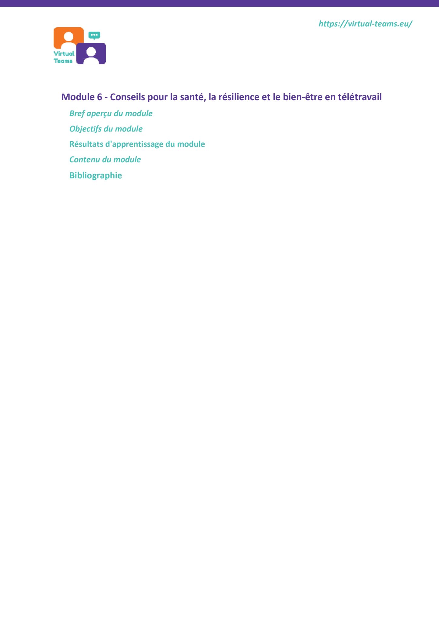 VirtualTeams_IO2_HR professionals_module 6 fr_page-0002