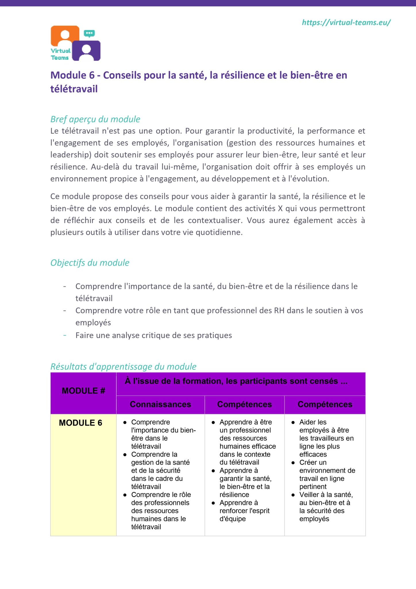 VirtualTeams_IO2_HR professionals_module 6 fr_page-0003