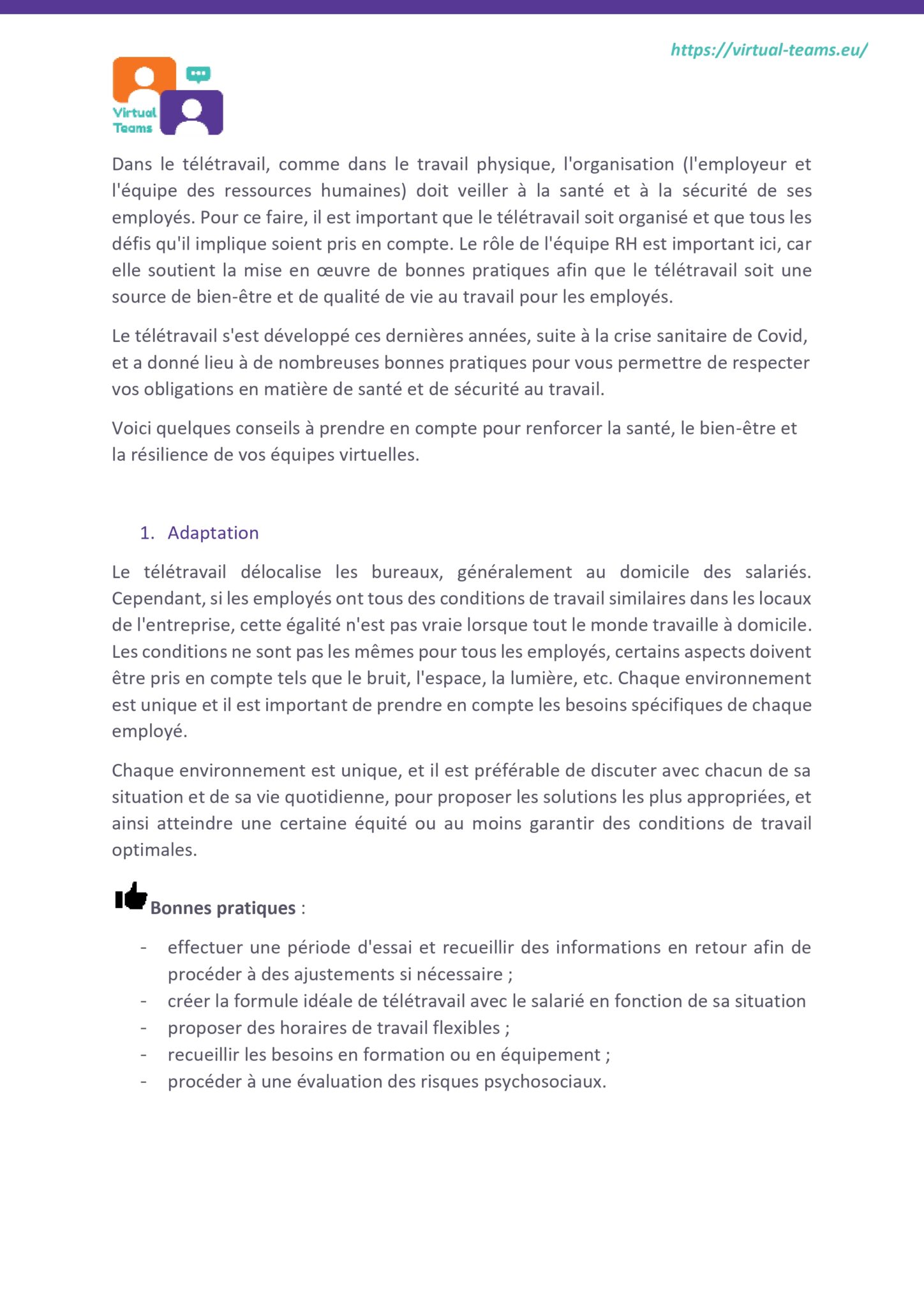 VirtualTeams_IO2_HR professionals_module 6 fr_page-0005